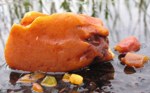 7_Gintaru ilanka (2).jpg